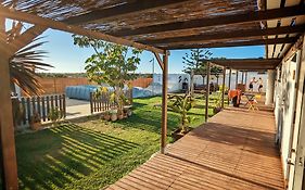 Single Fin Conil